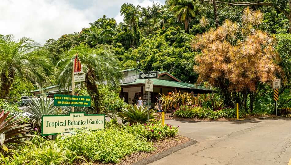 Hawaii Tropical-Botanical-Garden