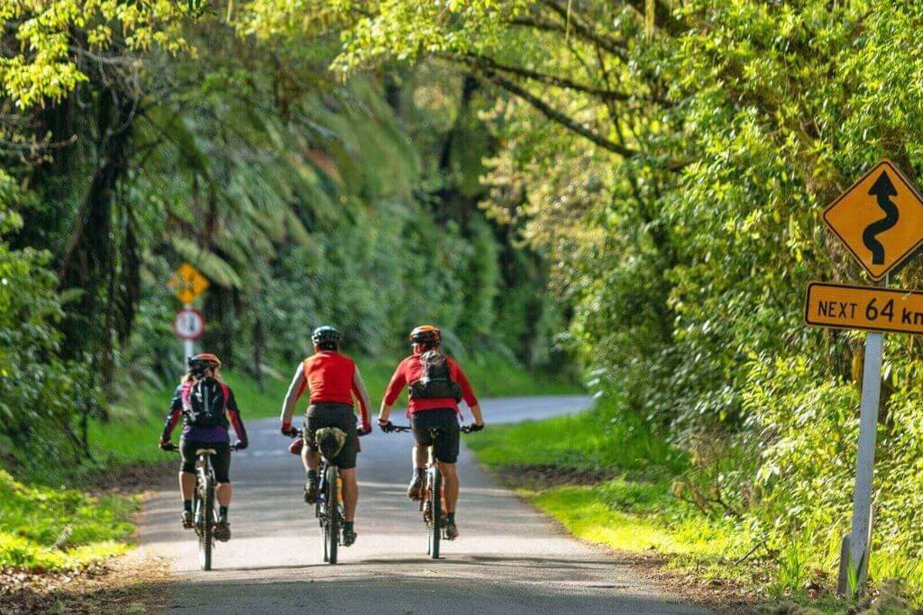 Biking-On-The-Whanganui-Trails-things-to-do