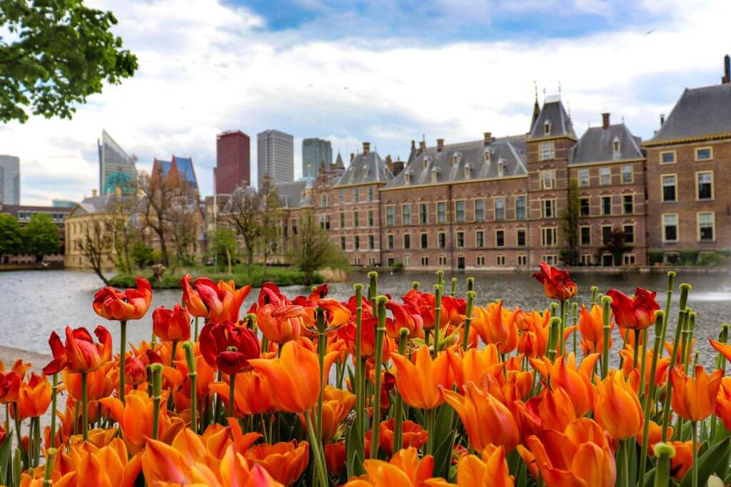 10 Interesting Things You Should Do In The Hague Trip My Lifestyle