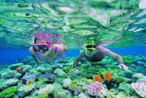 7 Funniest Activities In Great Barrier Reef You Should Try