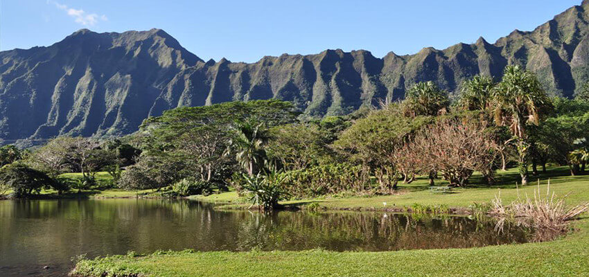 Honolulu-Botanical-Garden