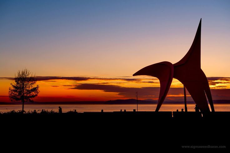 sunset-at-olympic-sculpture-park