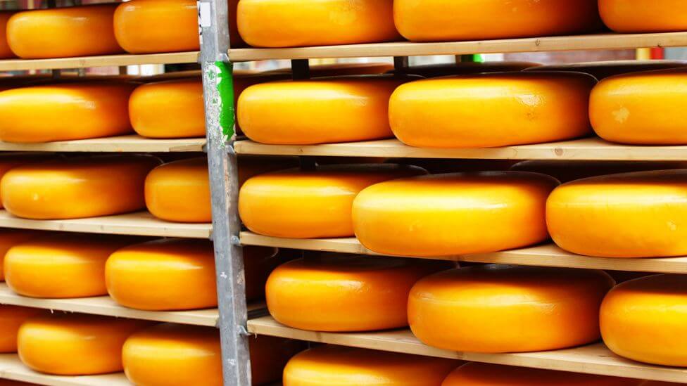 export-dutch-cheese