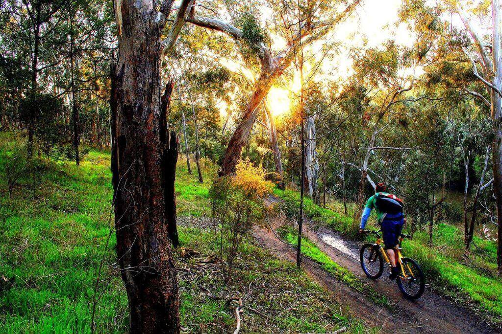 Yarra-Bend-Trail-spring-time-in-Melbourne