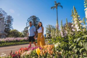 Toowoomba-Carnival-of-Flowers