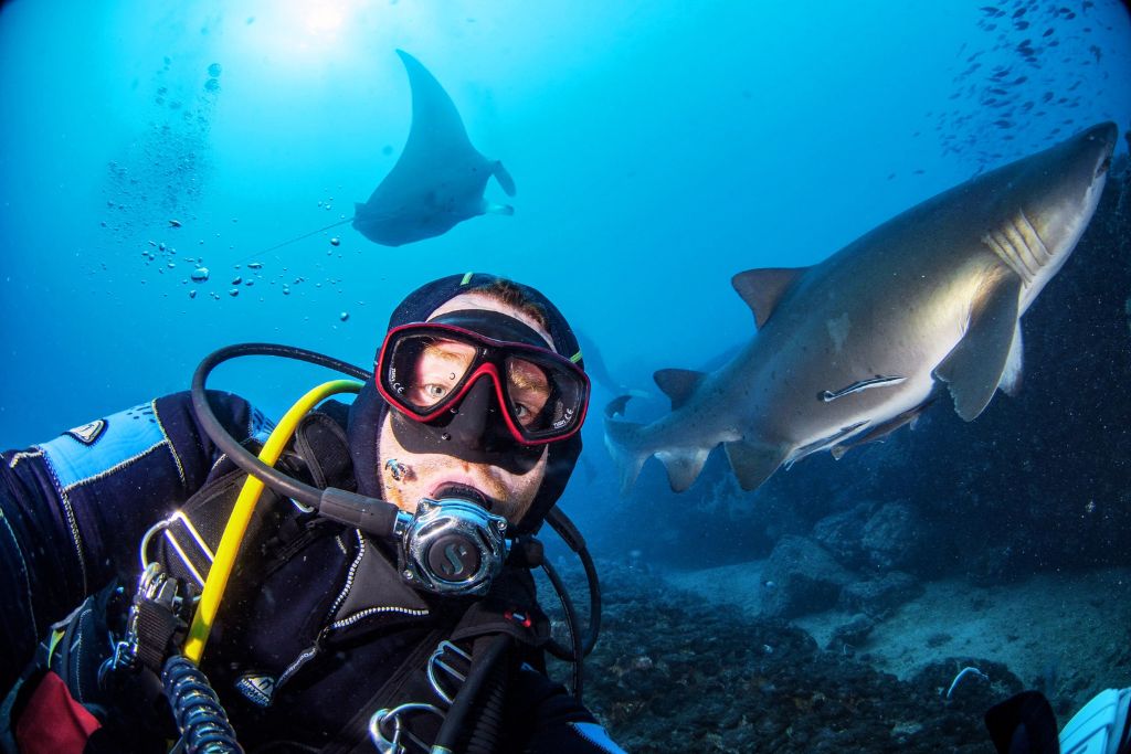diving-at-wolf-rock-with-sharks