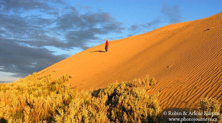 the-great-sand-hills-in-saskatchewan