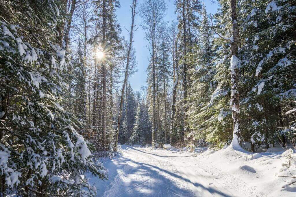 algonquin-provincial-park-winter-camping-ontario