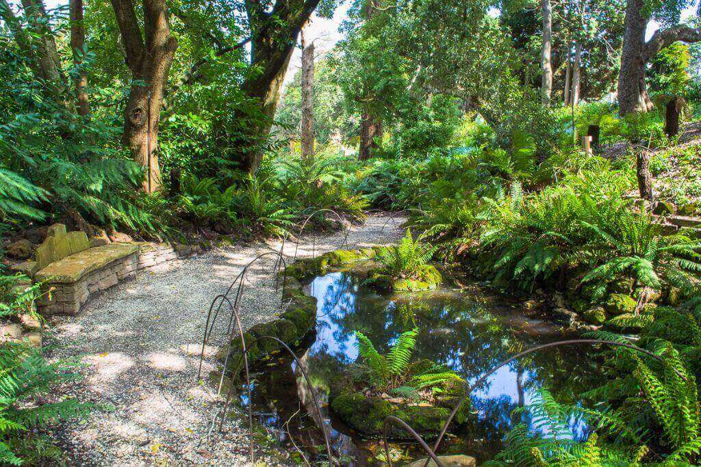 Wombat-Hill-Botanic-Gardens