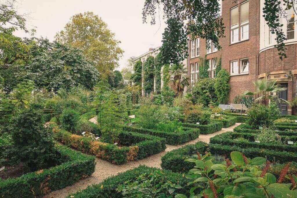 botanical-garden-amsterdam