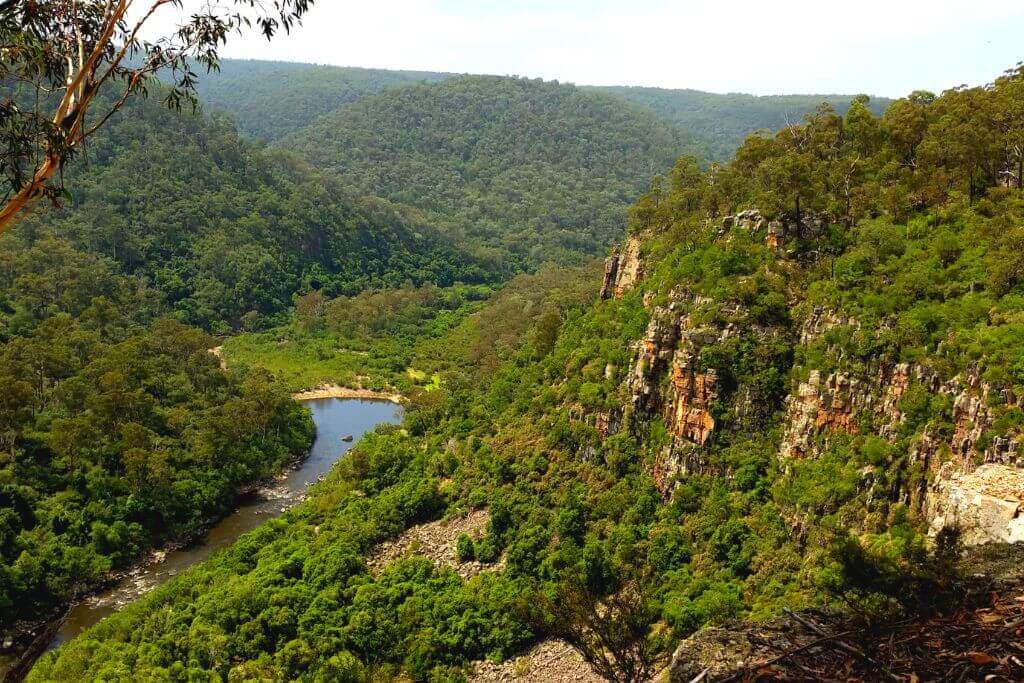 Mitchell-River-National-Park