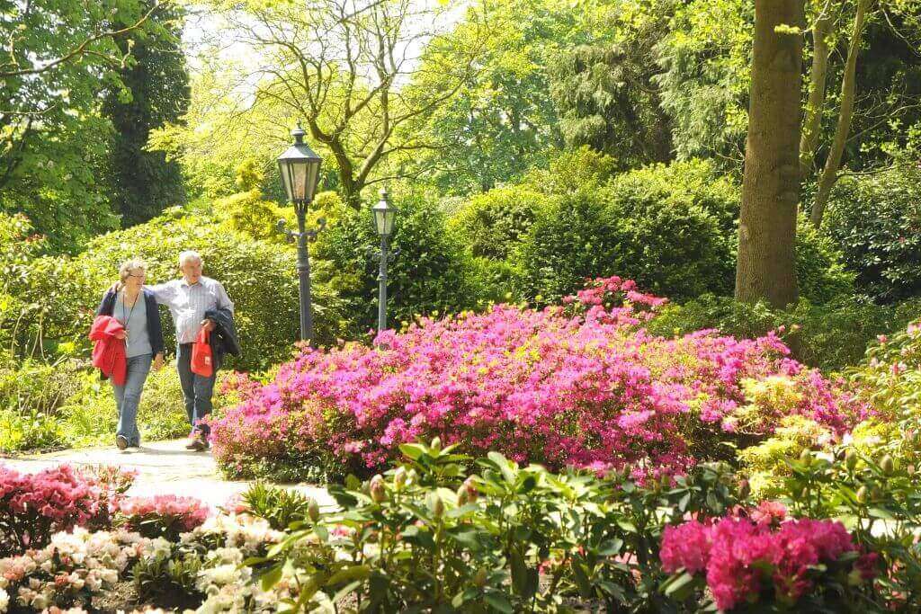 rhododendron-Kasteeltuinen-arcen-castle-gardens-in-arcen