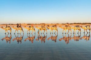 best-things-to-do-in-broome