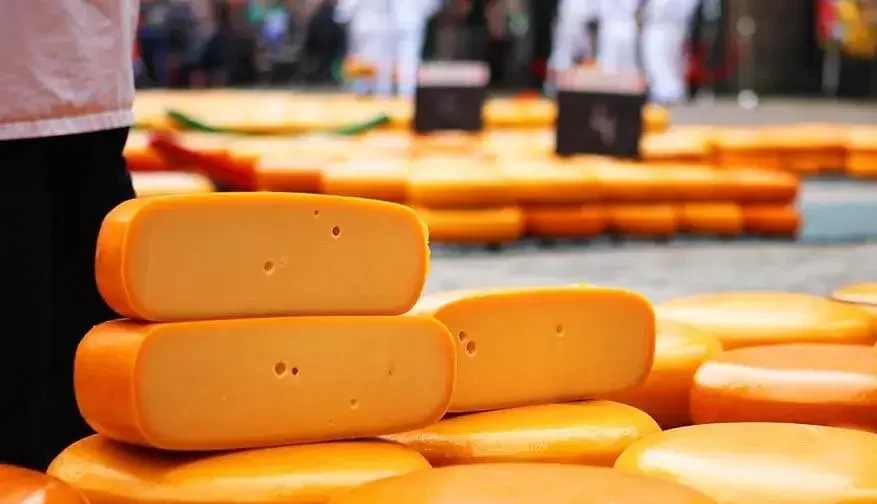 dutch-cheese