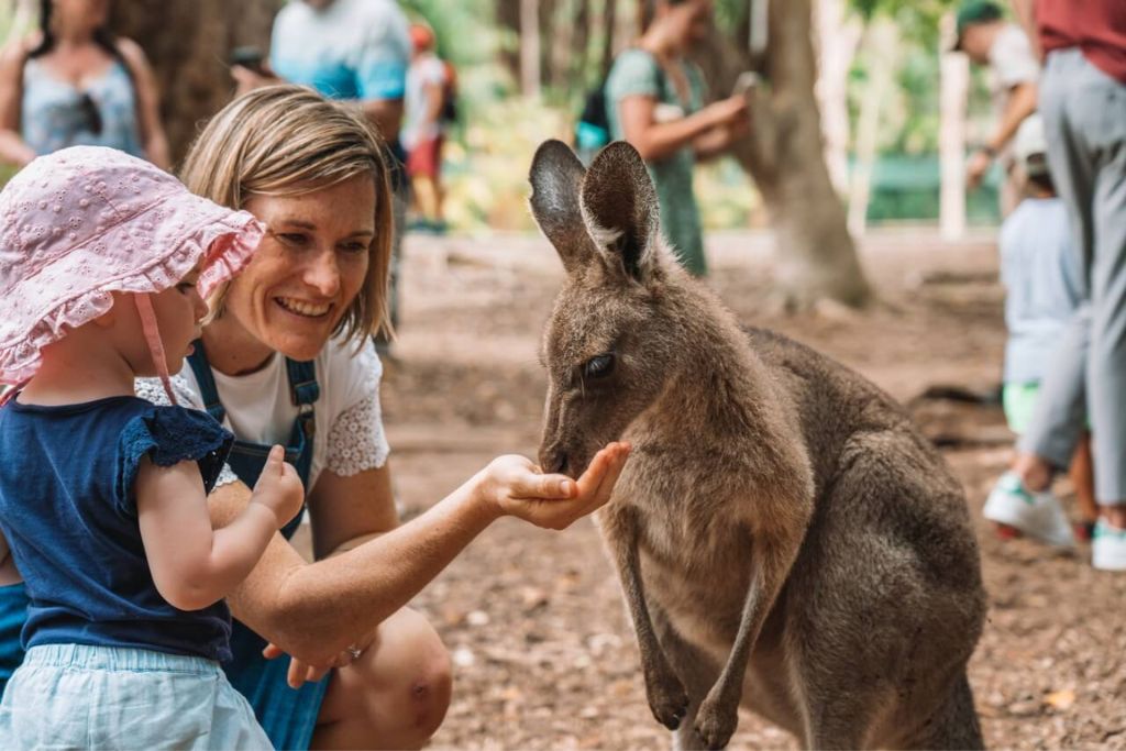 Australia-Zoo-day-trips-from-Brisbane