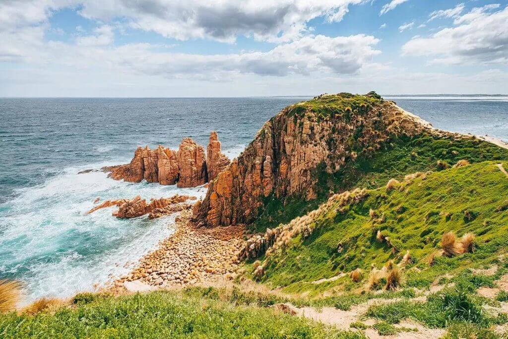 what-to-do-in-phillip-island