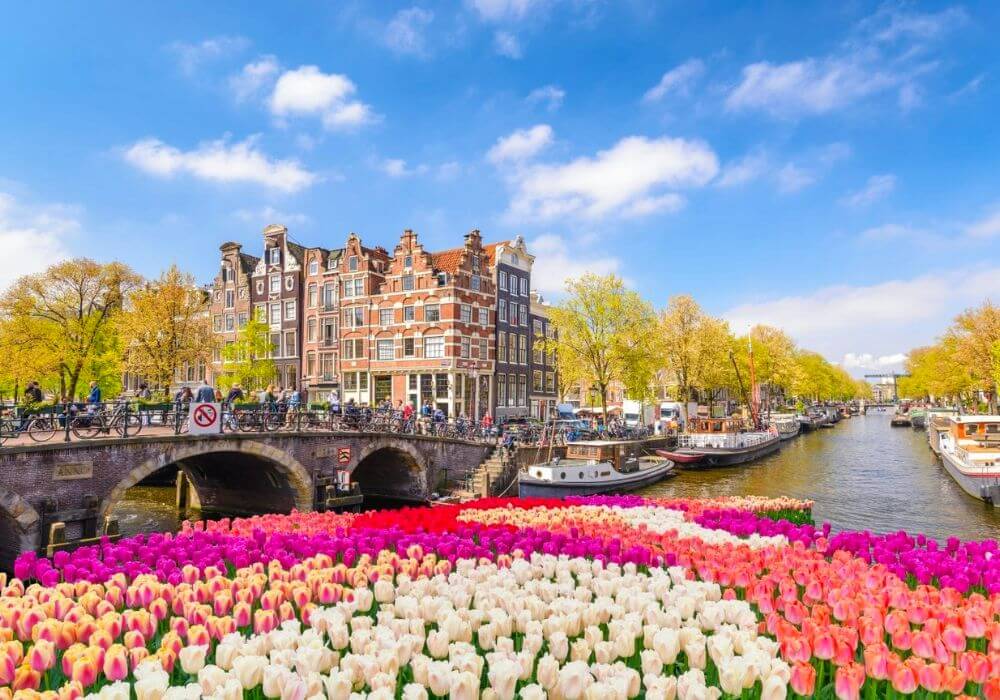 Amsterdam-tulips