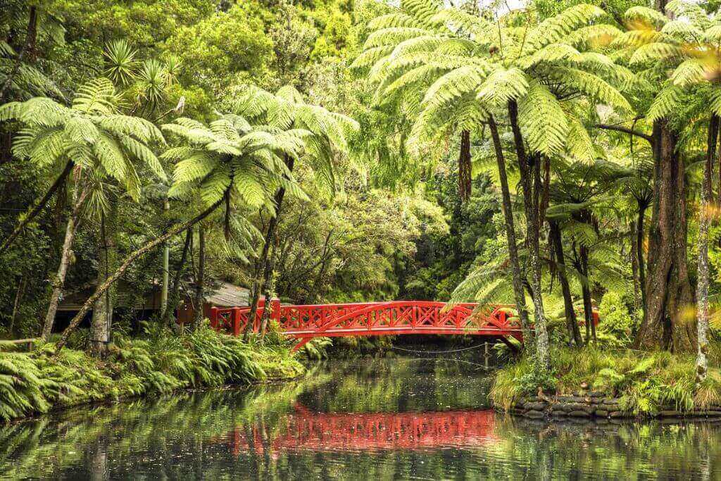 7 Most Beautiful Gardens In New Zealand Worth A Visit My Lifestyle
