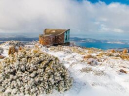 tasmania-winter