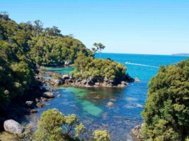 Stewart-Island