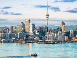 auckland-sky-tower