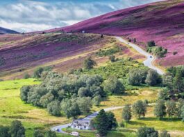 Cairngorms-National-Park