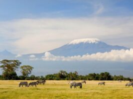 Mount-Kilimanjaro