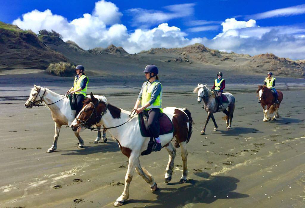 Muriwai-Beach-Horse-Treks
