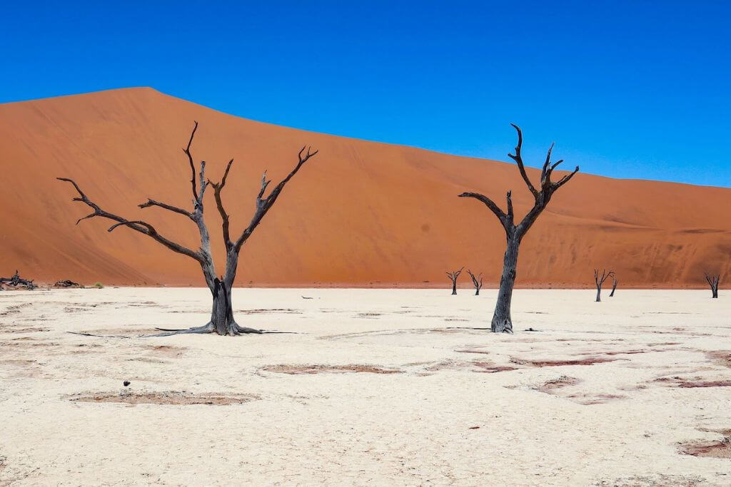Namib-Naukluft-National-Park