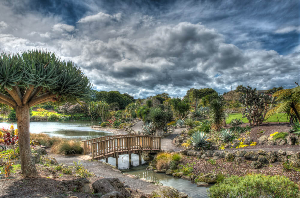 Auckland-Botanic-Gardens