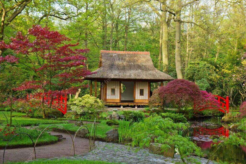 Japanese-Garden-The-Hague
