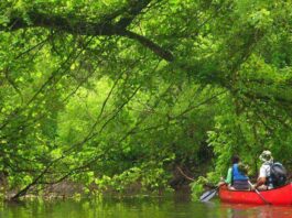 big-creek-ontario