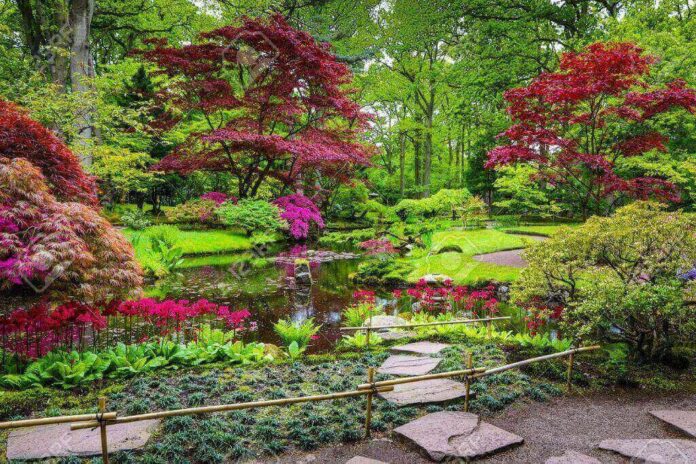 Japanese-Garden-The-Hague