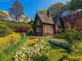 Princes-Street-Gardens